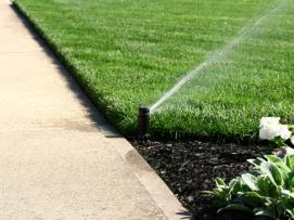 Great Sprinkler Coverage